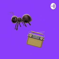 ant radio - episode two