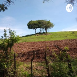 Tipos de Líderes