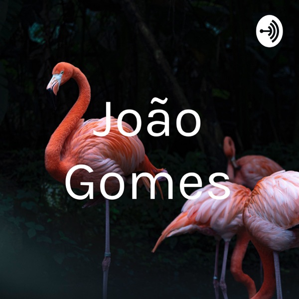 João Gomes