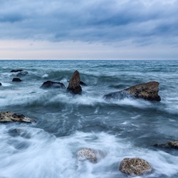 Ecosistema Marino