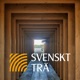 #9 En Sverigeresa i träbyggande