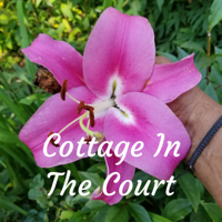 Cottage In The Court podcast