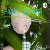 Axolotl Central artwork