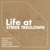 Life at Stride Treglown artwork
