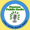 Pawnee Public Radio: A Parks and Rec Rewatch Podcast artwork
