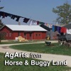 Mary Swander's Buggy Land artwork