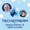 Techstream with Shelly Palmer and Seth Everett  artwork
