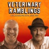 Veterinary Ramblings artwork