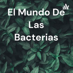 El Mundo De Las Bacterias