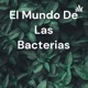 El mundo dd las bacterias