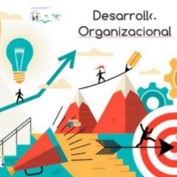 Desarrollo Organizacional 