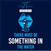 There Must Be Something In the Water artwork
