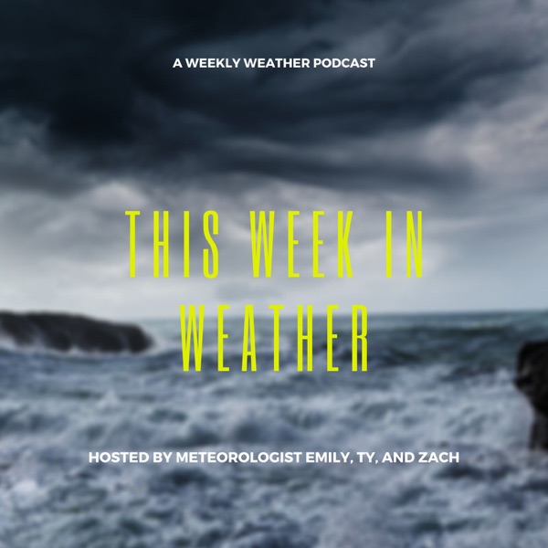 This Week In Weather Artwork