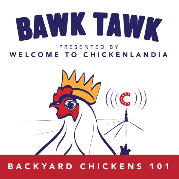 Bawk Tawk! Welcome to Chickenlandia's 100% Friendly Chicken Show Artwork