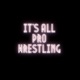 It‘s All Pro Wrestling