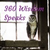 360 Wisdom Speaks  artwork