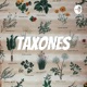 TAXONES