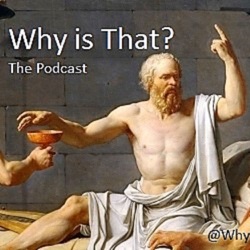 Pontifical Swiss Guard - Why Is That Podcast