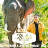 The Travelling Lion | Myanmar Podcast