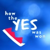 How The Yes Was Won artwork