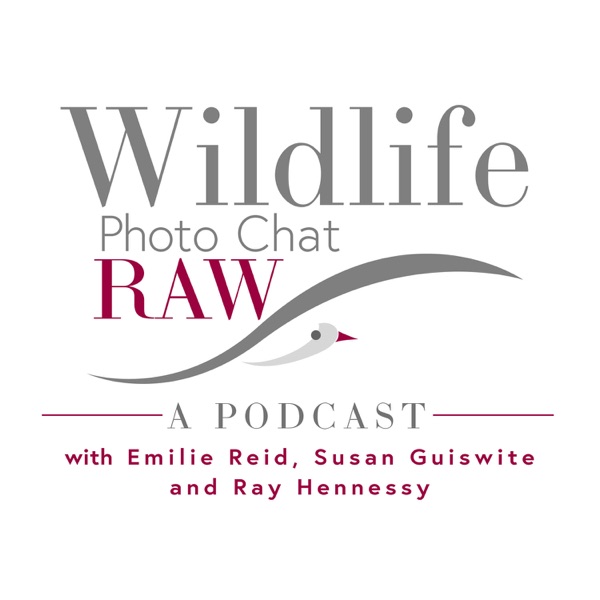 Wildlife Photo Chat Raw