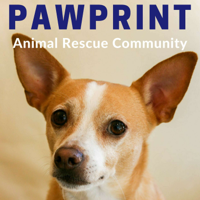 Pawprint | animal rescue podcast for dog, cat, and other animal lovers podcast