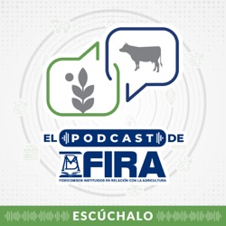 FIRA Podcast