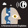 A Neuroscientist Explains