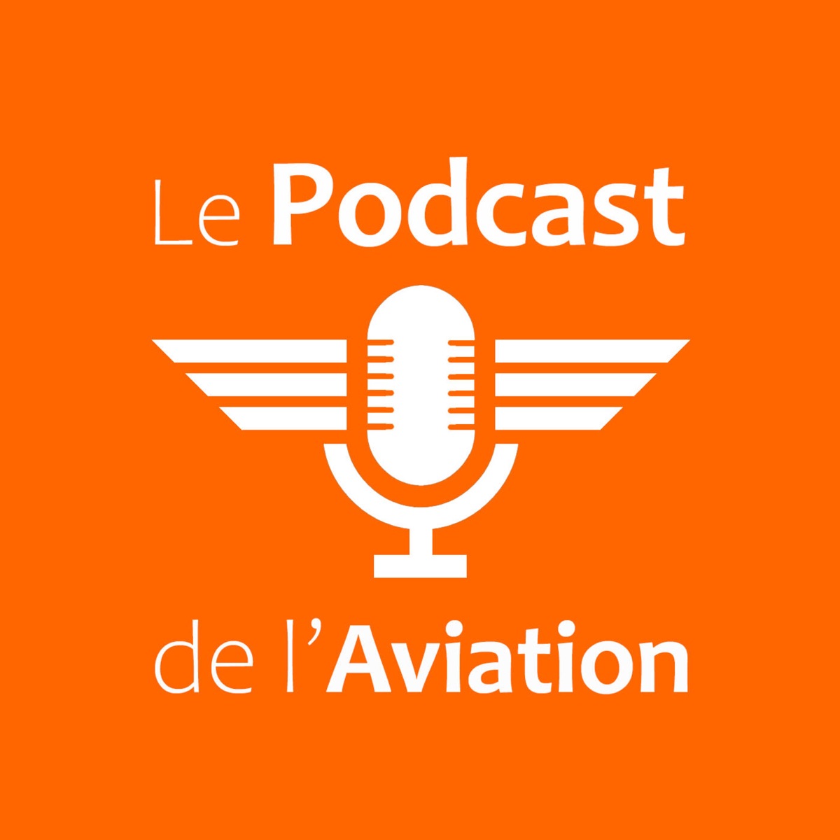 Carnet de vol drone: Journal de bord et Suivi de Vol de drone (French  Edition)