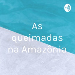 As queimadas na Amazônia