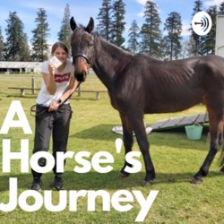 A Horse's Journey