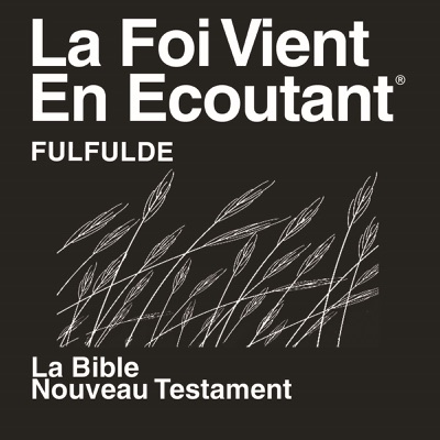 Adamawa Fulfulde pour Cameroun Bible (non dramatisée) - Fulfulde, Adamawa for Cameroon Bible (Non-Dramatized)