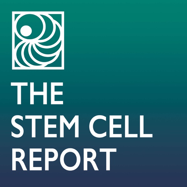 The Stem Cell Report with Martin Pera Artwork