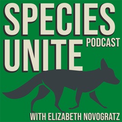 Monica Engebretson: Why Does the US Still Test on Animals for Cosmetics, Even Though 44 Other Countries Have Banned It?