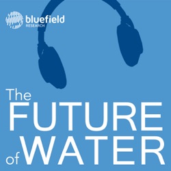 What is Private Equity’s Role in Digital Water?