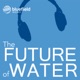 The Future of Water