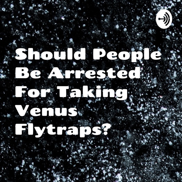 Should People Be Arrested For Taking Venus Flytraps? Artwork