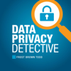 Data Privacy Detective - Joe Dehner - Global Data Privacy Lawyer