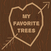 My Favorite Trees - Thomas Spadea