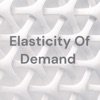 Elasticity Of Demand  artwork