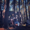 Dance in the Wild artwork