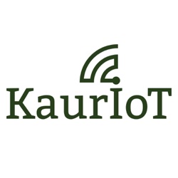 KAURIOT об IT