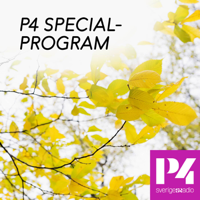 P4 specialprogram podcast