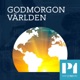 Stödet till Ukraina, visitationszoner införs och jättelandet Indien går till val