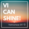 Vi Can Shine! artwork