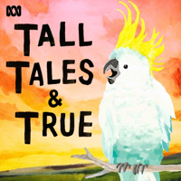 Sarah Macdonald — Taliban Money Tin