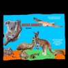 Aussie Animals With Megan artwork