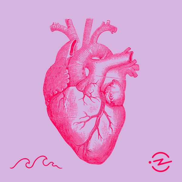 The Heart image