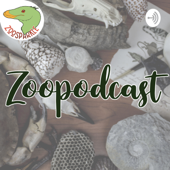 Zoopodcast - Willy Guasti