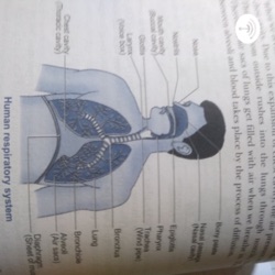 Biology Class 10 Respiration